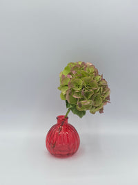 Bud Vase Round image 0