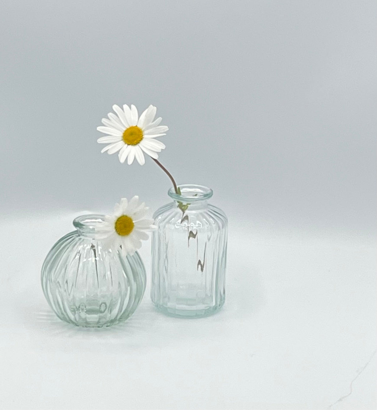 Bud Vase Bottles image 2