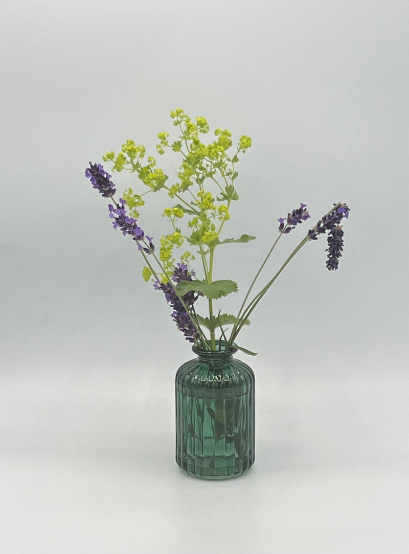 Bud Vase Bottles image 1
