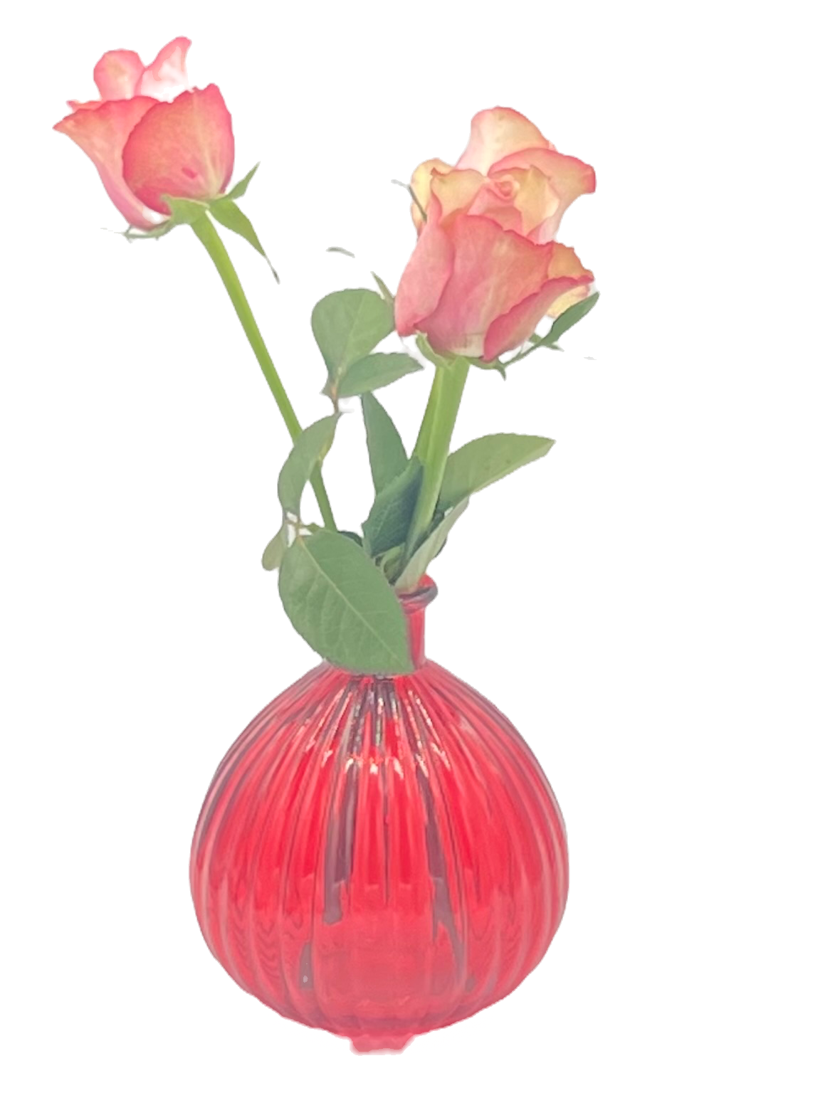 Large Single Stem Vase image 0
